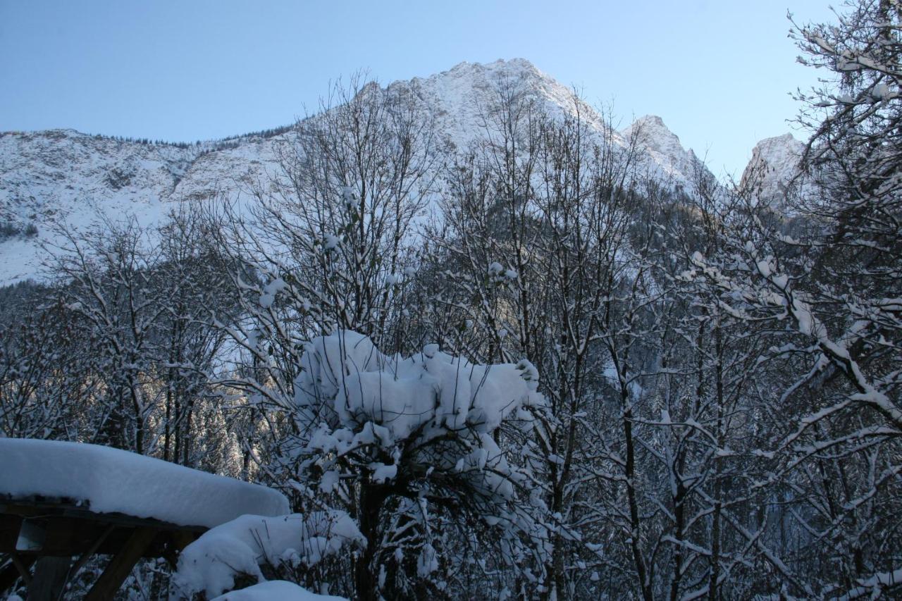 Dolomiti House Hotel Cibiana Exterior photo
